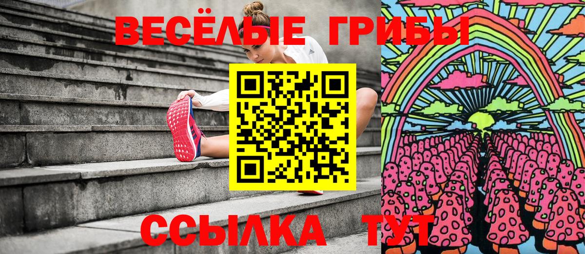 Псилоцибиновые грибы прущие грибы Кингисепп