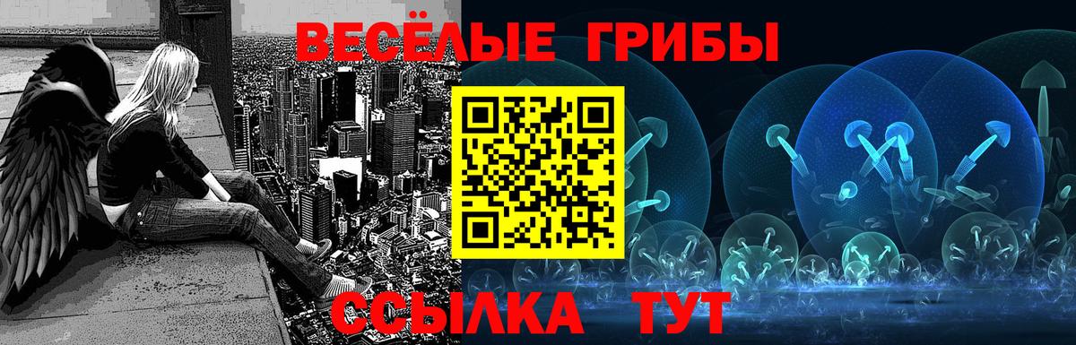 Мефедрон Кингисепп